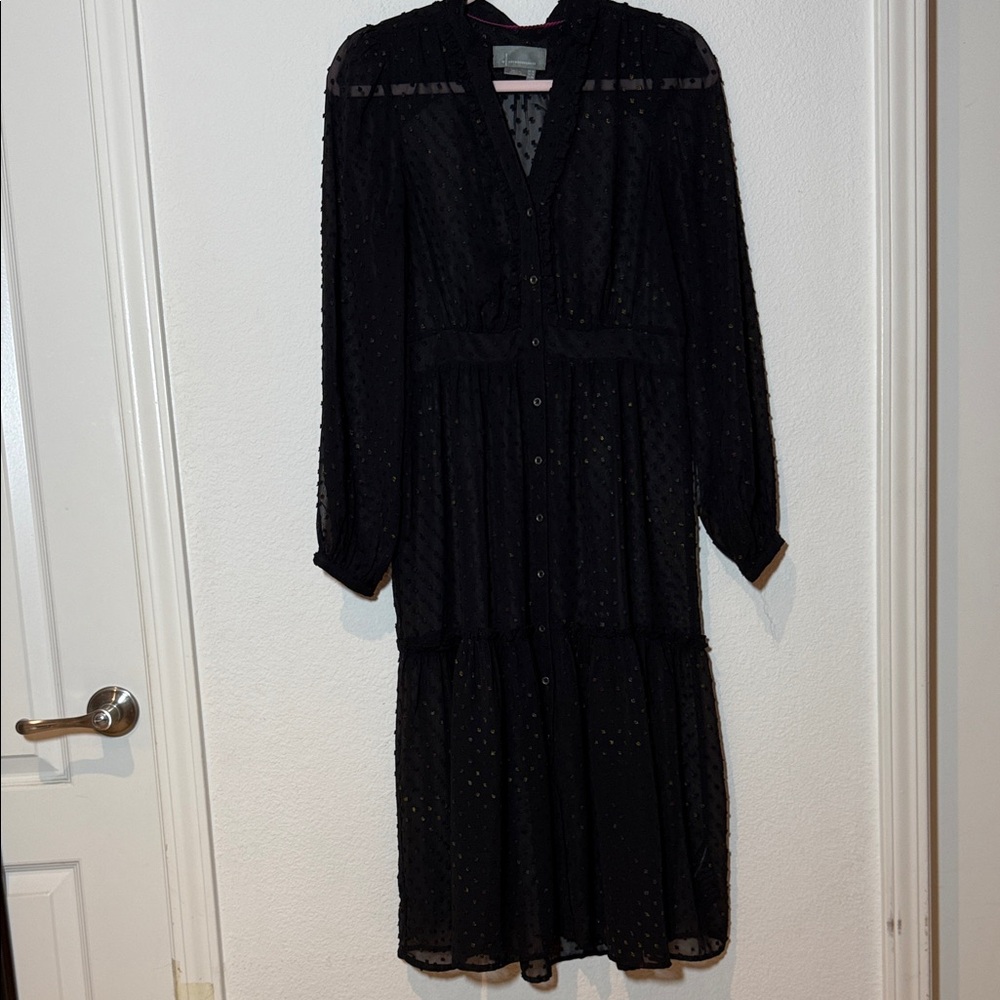 Anthropologie Black Long Sleeve Sheer Dress
